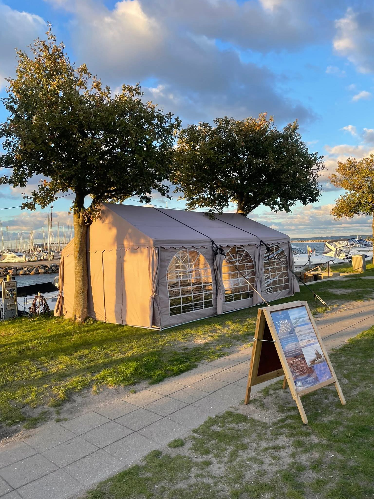 Eight shirts arranged on table in black, olive, grey, blue, white, red, mustard, and green.